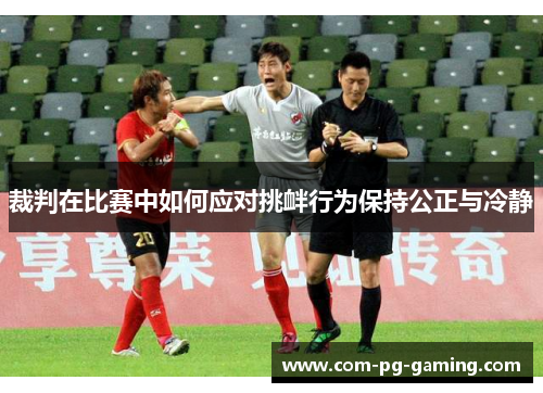 裁判在比赛中如何应对挑衅行为保持公正与冷静