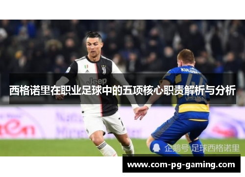 西格诺里在职业足球中的五项核心职责解析与分析 西格诺里在职业足球中的五项核心职责解析与分析