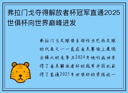 弗拉门戈夺得解放者杯冠军直通2025世俱杯向世界巅峰进发