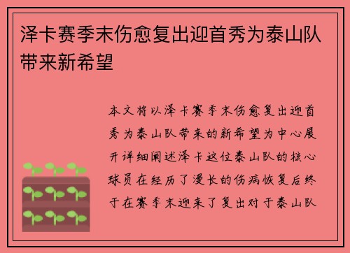 泽卡赛季末伤愈复出迎首秀为泰山队带来新希望 泽卡赛季末伤愈复出迎首秀为泰山队带来新希望